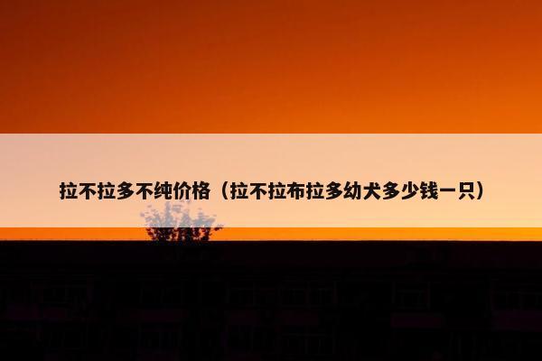 拉不拉多不纯价格（拉不拉布拉多幼犬多少钱一只）