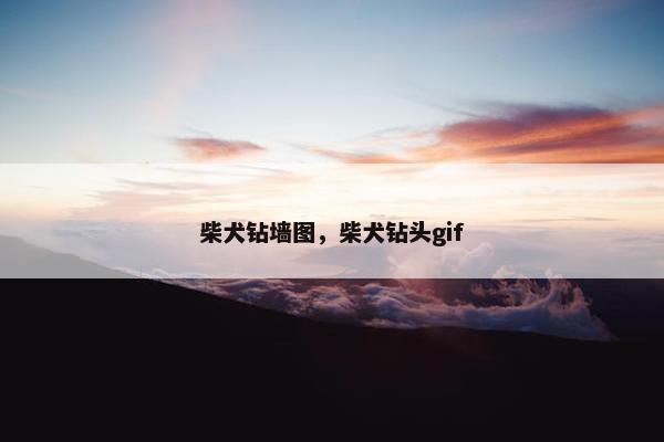 柴犬钻墙图，柴犬钻头gif
