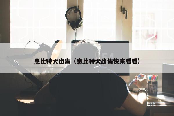 惠比特犬出售（惠比特犬出售快来看看）