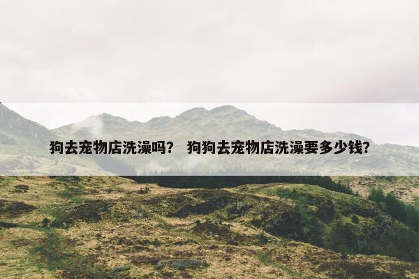 狗去宠物店洗澡吗？ 狗狗去宠物店洗澡要多少钱？