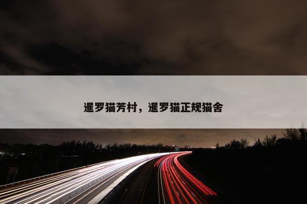 暹罗猫芳村，暹罗猫正规猫舍