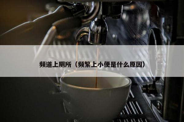 频道上厕所（频繁上小便是什么原因）