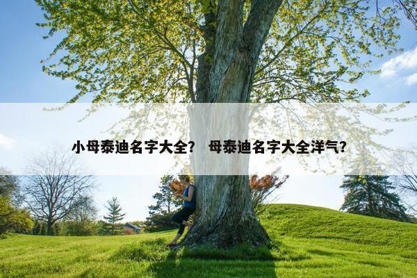 小母泰迪名字大全？ 母泰迪名字大全洋气？