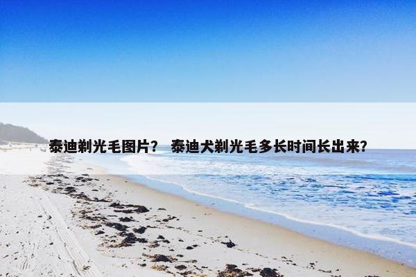 泰迪剃光毛图片？ 泰迪犬剃光毛多长时间长出来？