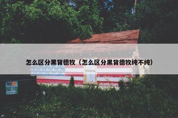 怎么区分黑背德牧（怎么区分黑背德牧纯不纯）