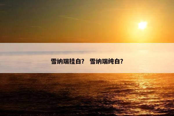 雪纳瑞挂白？ 雪纳瑞纯白？
