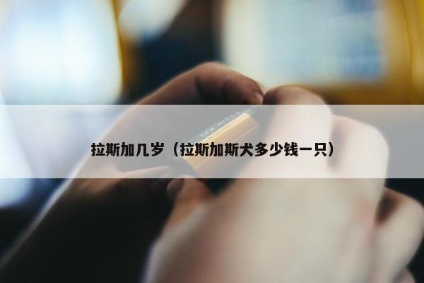 拉斯加几岁（拉斯加斯犬多少钱一只）