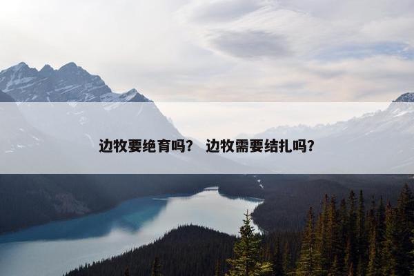 边牧要绝育吗？ 边牧需要结扎吗？
