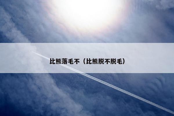 比熊落毛不（比熊脱不脱毛）