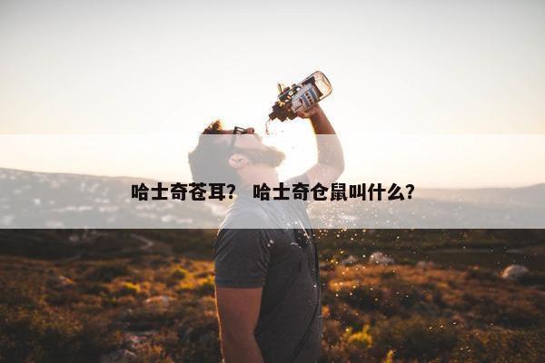 哈士奇苍耳？ 哈士奇仓鼠叫什么？