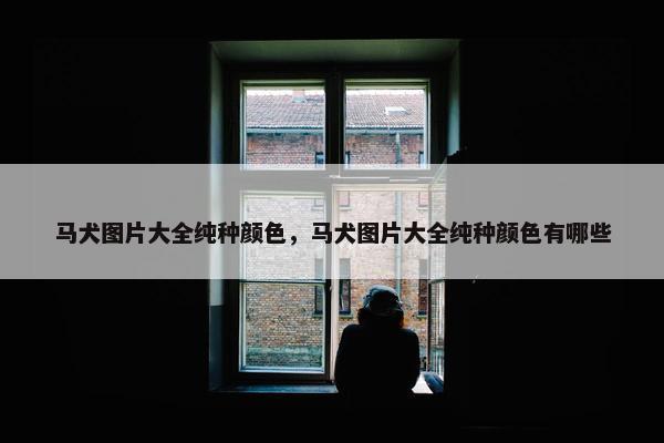 马犬图片大全纯种颜色，马犬图片大全纯种颜色有哪些