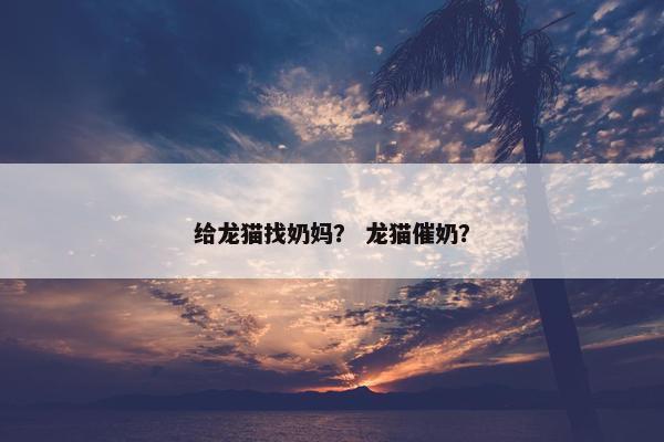 给龙猫找奶妈？ 龙猫催奶？