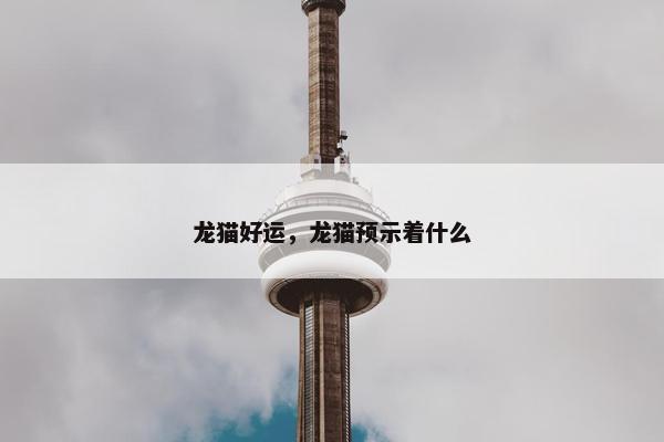 龙猫好运，龙猫预示着什么
