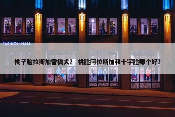 桃子脸拉斯加雪橇犬？ 桃脸阿拉斯加和十字脸哪个好？