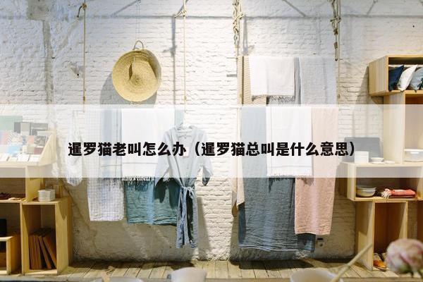暹罗猫老叫怎么办（暹罗猫总叫是什么意思）