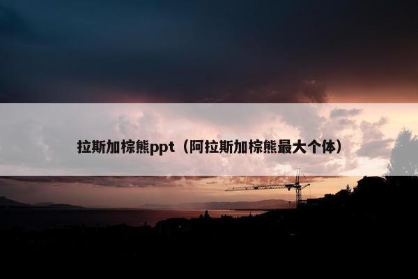 拉斯加棕熊ppt（阿拉斯加棕熊最大个体）