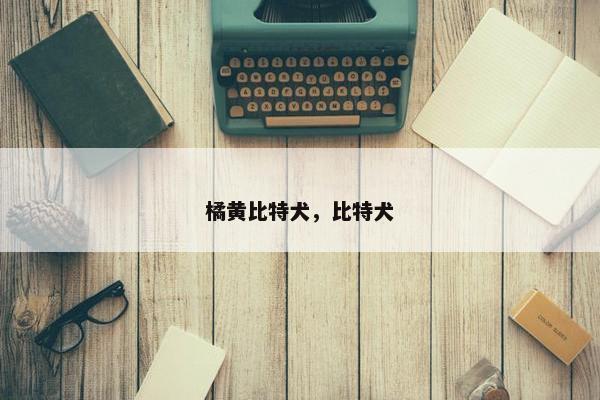 橘黄比特犬，比特犬