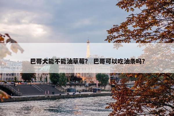 巴哥犬能不能油草莓？ 巴哥可以吃油条吗？