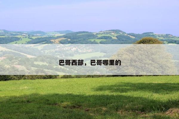 巴哥西部，巴哥哪里的
