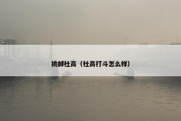 挑衅杜高（杜高打斗怎么样）