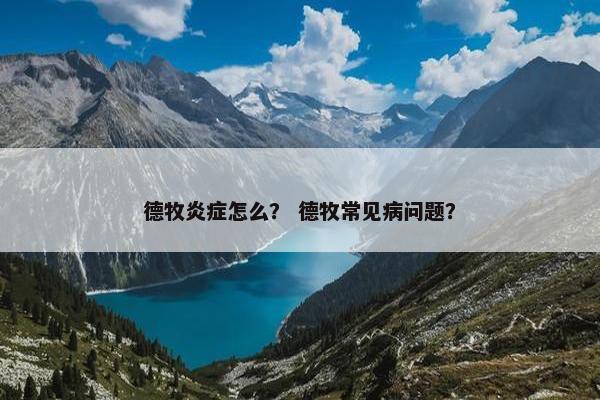 德牧炎症怎么？ 德牧常见病问题？