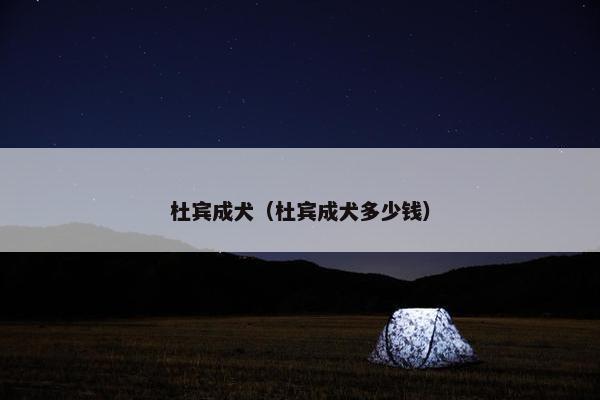 杜宾成犬（杜宾成犬多少钱）