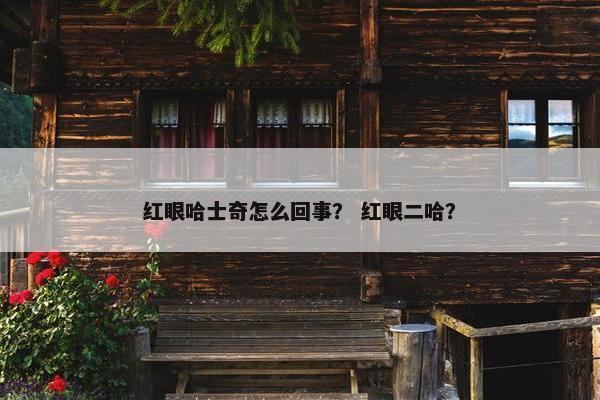 红眼哈士奇怎么回事？ 红眼二哈？