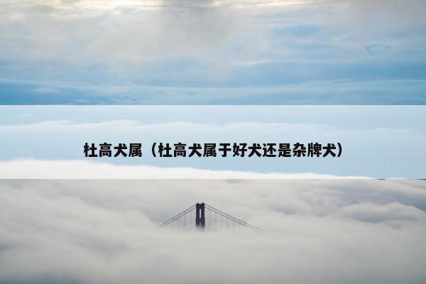 杜高犬属（杜高犬属于好犬还是杂牌犬）
