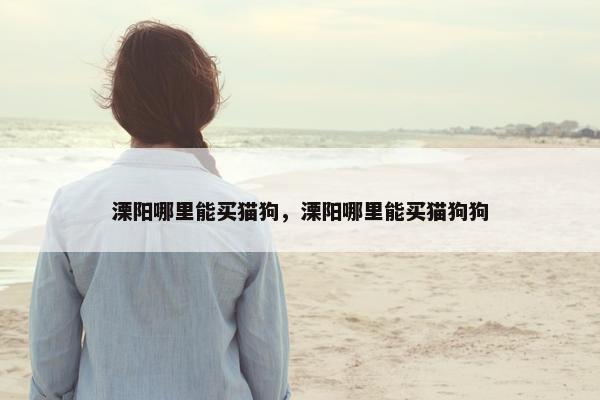 溧阳哪里能买猫狗，溧阳哪里能买猫狗狗