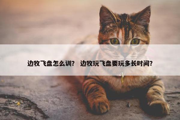 边牧飞盘怎么训？ 边牧玩飞盘要玩多长时间？