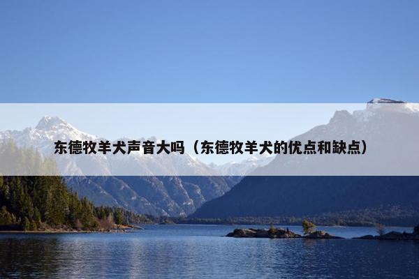 东德牧羊犬声音大吗（东德牧羊犬的优点和缺点）