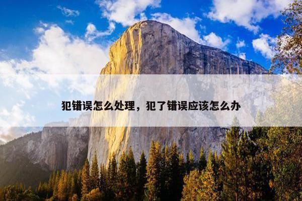 犯错误怎么处理，犯了错误应该怎么办