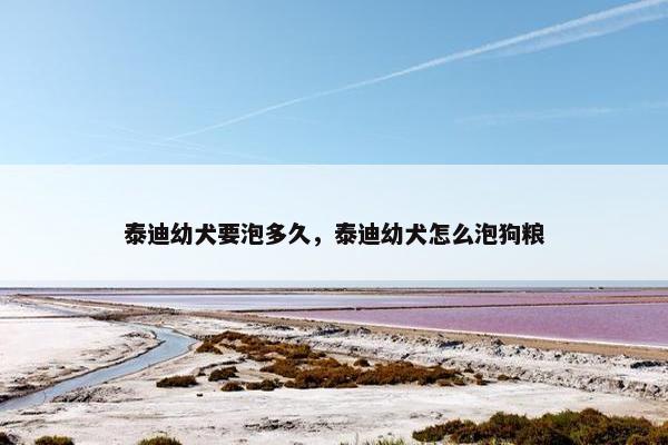 泰迪幼犬要泡多久，泰迪幼犬怎么泡狗粮
