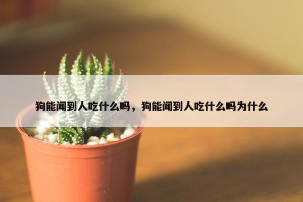 狗能闻到人吃什么吗，狗能闻到人吃什么吗为什么