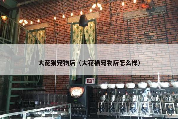 大花猫宠物店（大花猫宠物店怎么样）