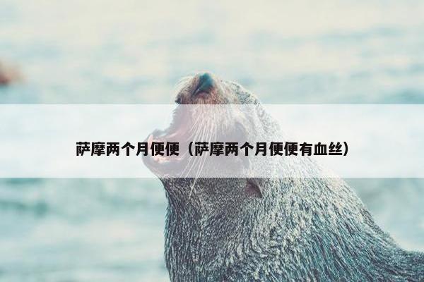 萨摩两个月便便（萨摩两个月便便有血丝）