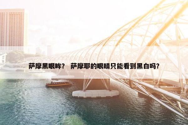 萨摩黑眼眸？ 萨摩耶的眼睛只能看到黑白吗？