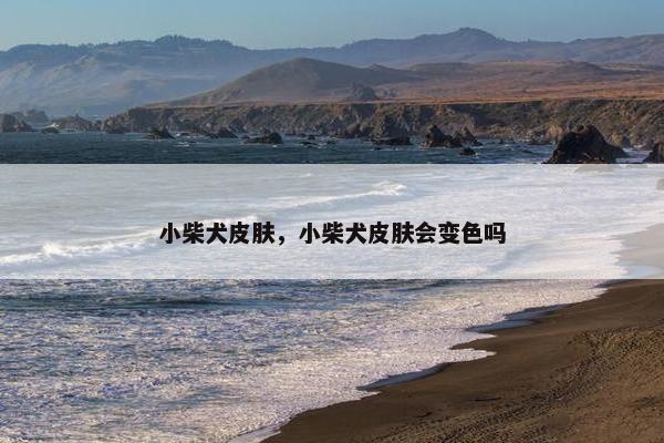 小柴犬皮肤，小柴犬皮肤会变色吗