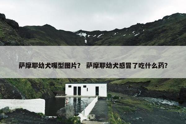 萨摩耶幼犬嘴型图片？ 萨摩耶幼犬感冒了吃什么药？