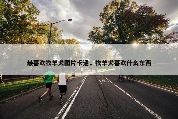 最喜欢牧羊犬图片卡通，牧羊犬喜欢什么东西