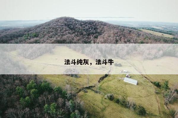 法斗纯灰，法斗牛