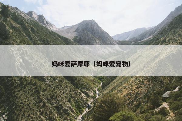 妈咪爱萨摩耶（妈咪爱宠物）