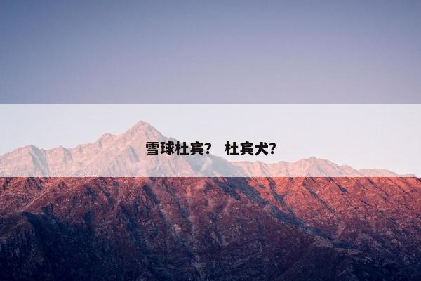 雪球杜宾？ 杜宾犬？