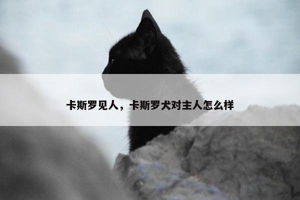 卡斯罗见人，卡斯罗犬对主人怎么样