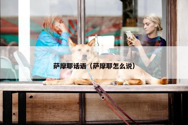 萨摩耶话语（萨摩耶怎么说）