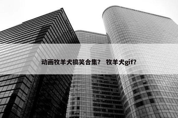 动画牧羊犬搞笑合集？ 牧羊犬gif？