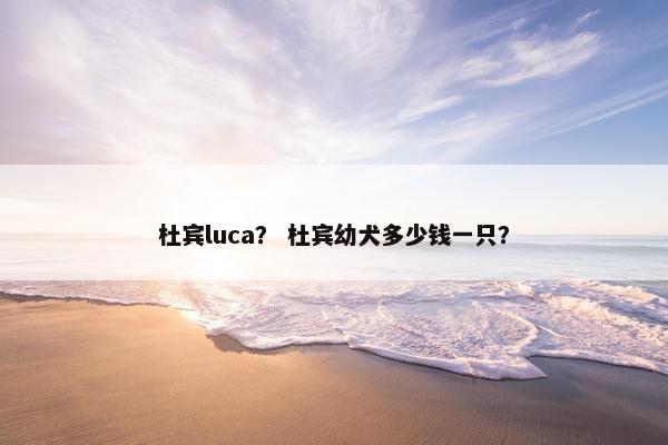 杜宾luca？ 杜宾幼犬多少钱一只？