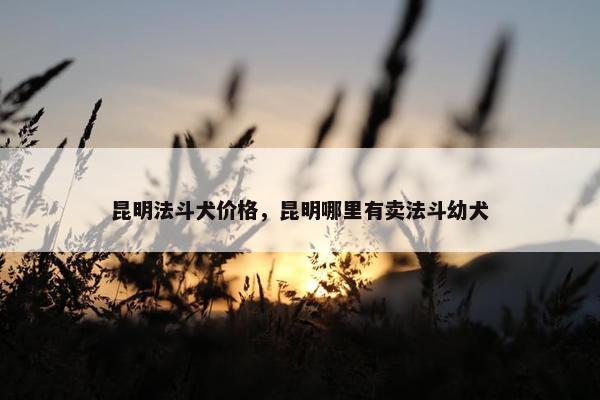 昆明法斗犬价格，昆明哪里有卖法斗幼犬