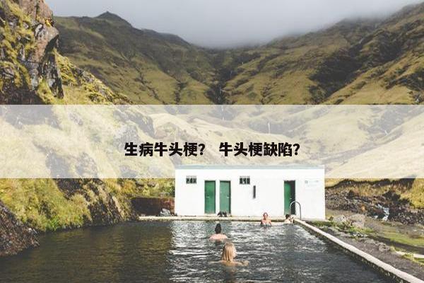 生病牛头梗？ 牛头梗缺陷？