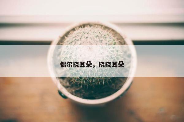 偶尔挠耳朵，挠挠耳朵